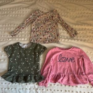 3T Girl Shirt Lot- Carter’s and Garanimals